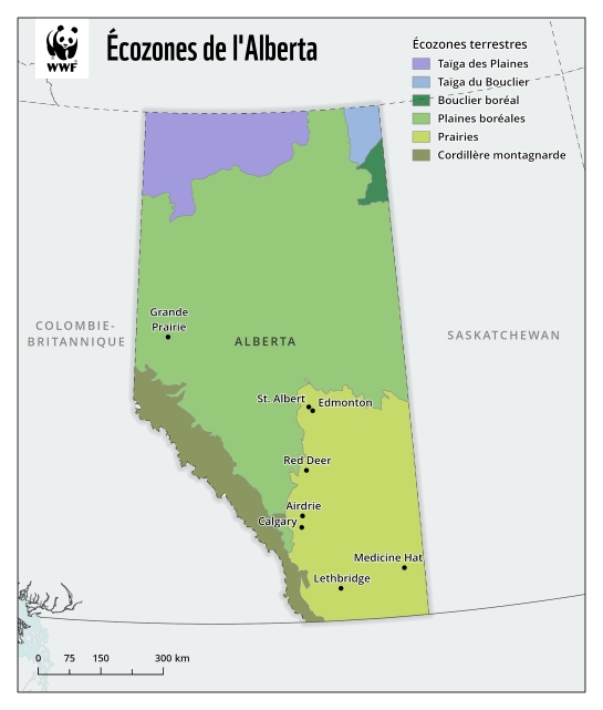 Une carte montrant les six écozones terrestres de l'Alberta