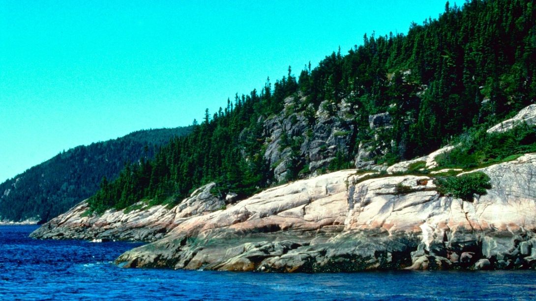 A rocky shoreline in New Brunswick's Fundy National Park, with deep blue Bay of Fundy waters in the foreground and evergreen tree-covered hills in the background.