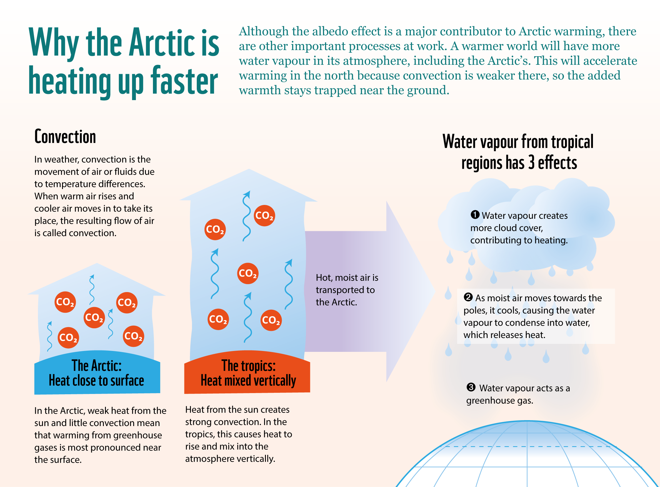 Infographic about why the Arctic is heating up faster 