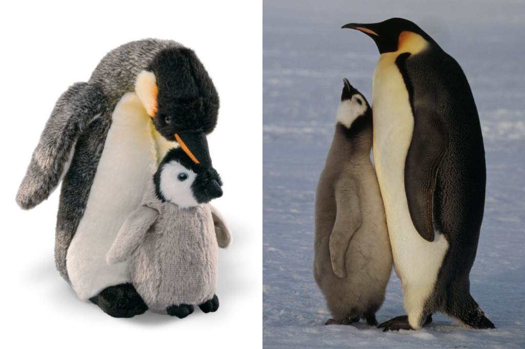 Adult penguin with chick standing in front of them, close together. Next to it is a picture of WWF-Canada's plush emperor penguin family doing a similar pose. 