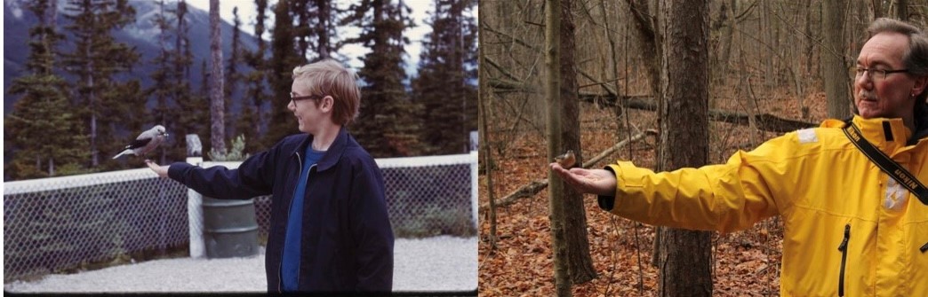 Side by side photos of a young boy holding out his arm to feed a bird, and the same man feeding a bird as an adult.