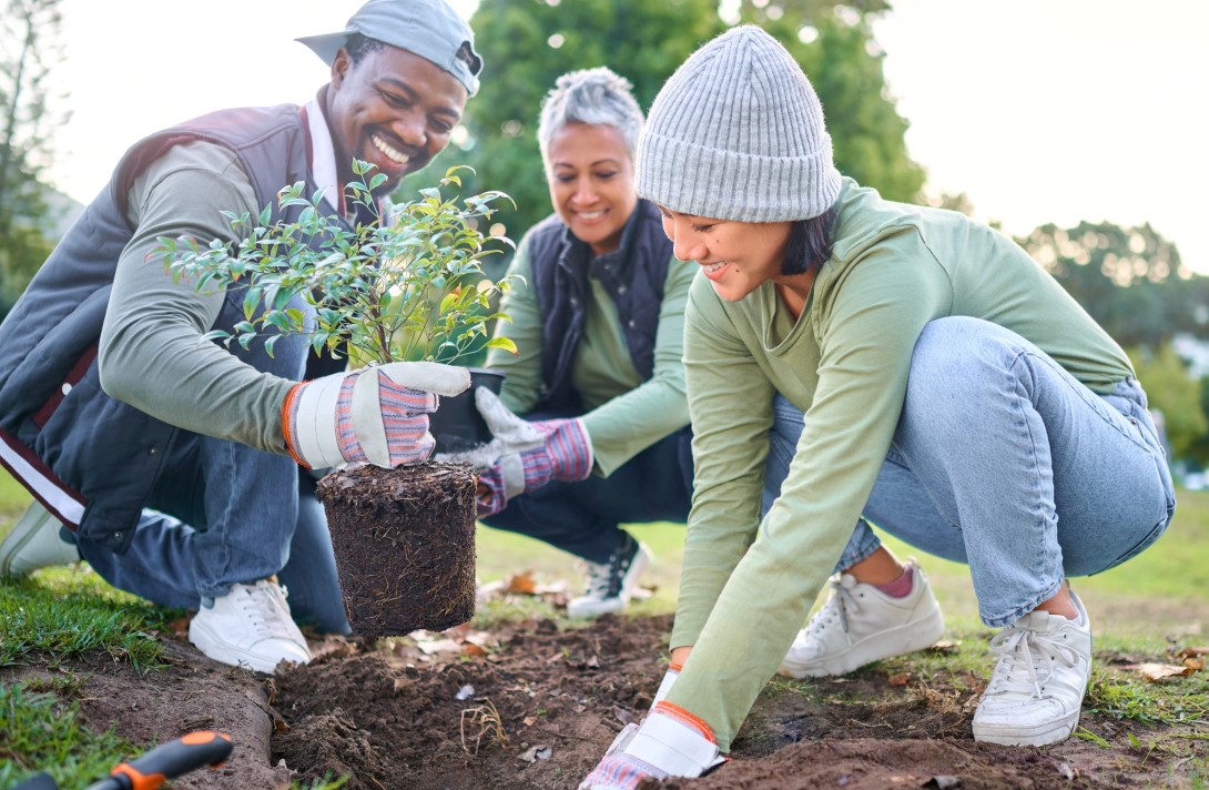 Three friends smile while preparing to plant a young shrub in the ground.