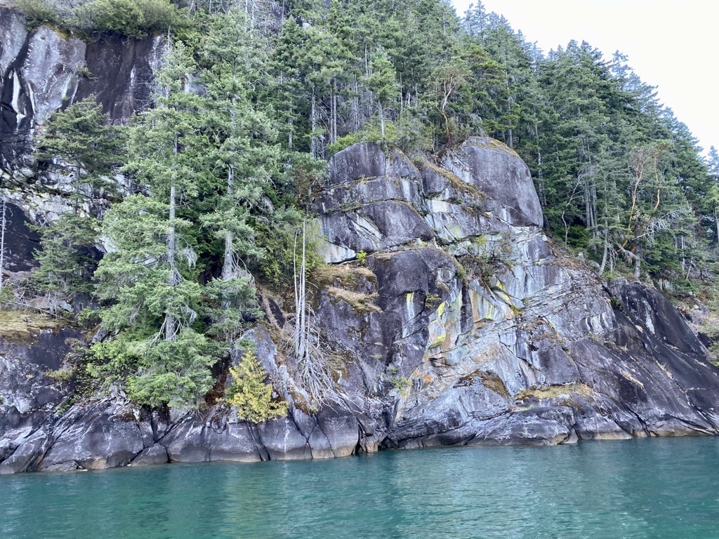 A tree covered cliff alongside a blue lake