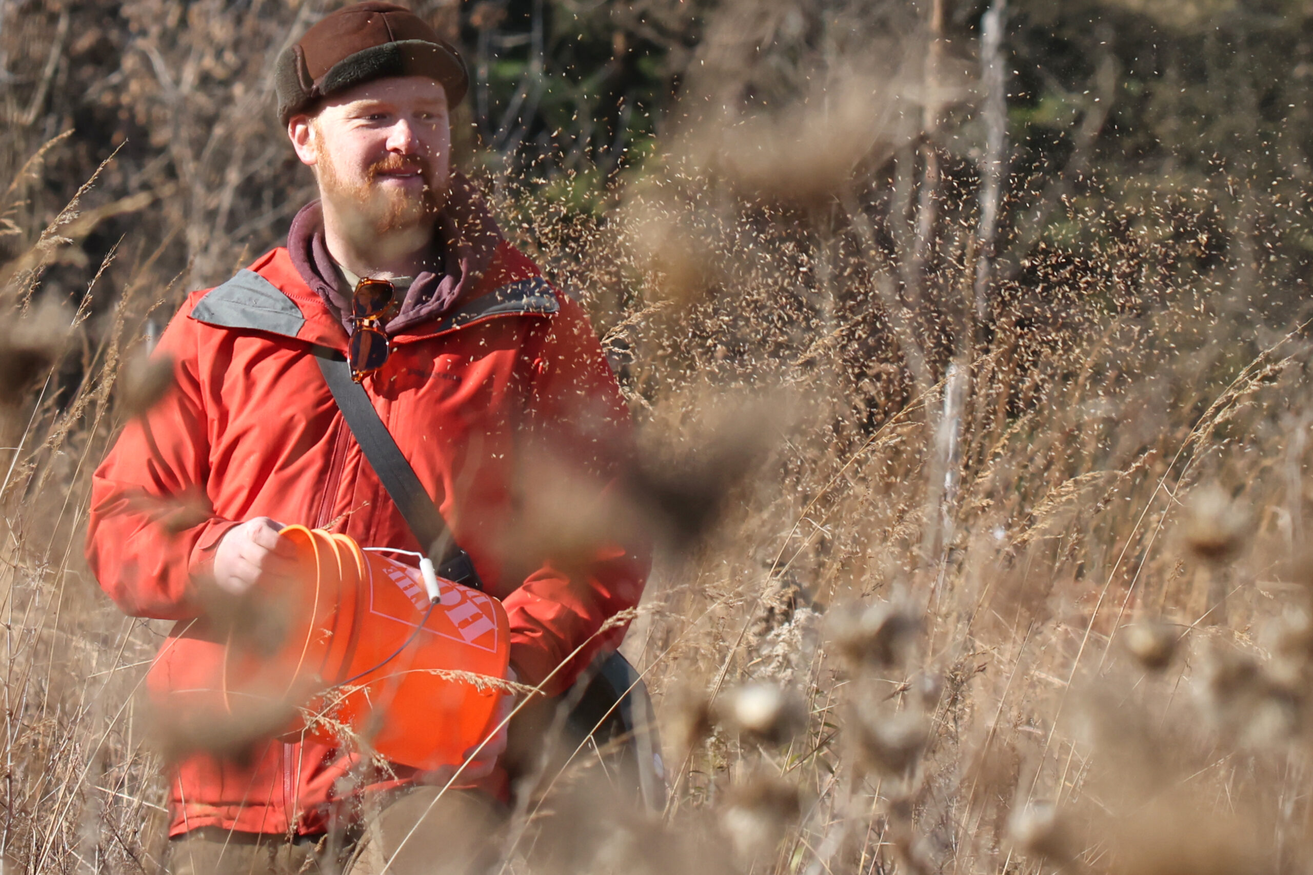 Ryan Godfrey of WWF-Canada hand-casts native grass seeds on a field near Shelburne, Ontario.