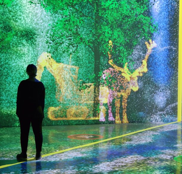 Silhouette of a person in the Arcadia Earth immersive exhibit, with digital forests and animals projected on the walls