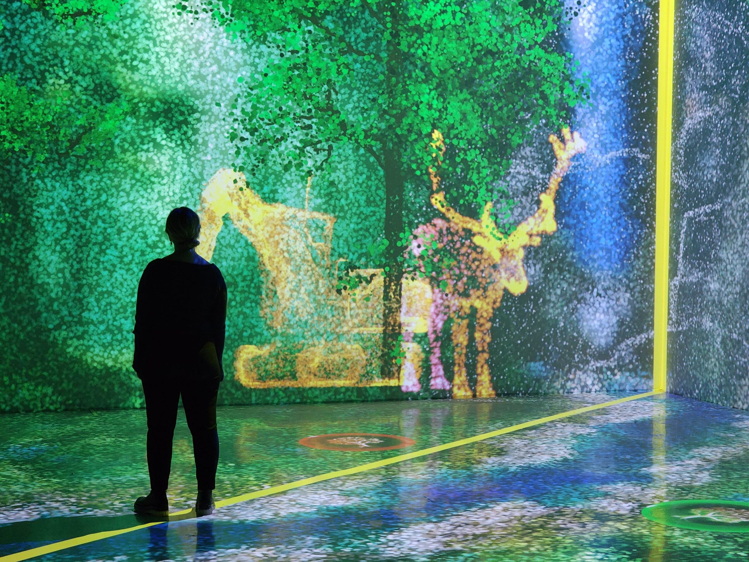 Silhouette of a person in the Arcadia Earth immersive exhibit, with digital forests and animals projected on the walls