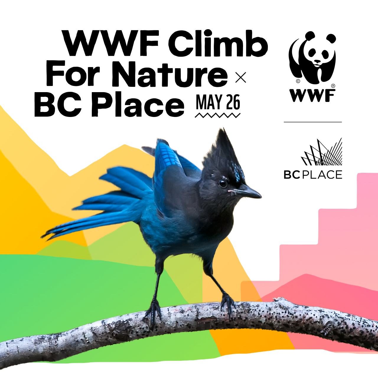 A blue and black bird sits on a branch with coloured steps in the background. The text says "WWF Climb for Nature x BC Place. May 26."