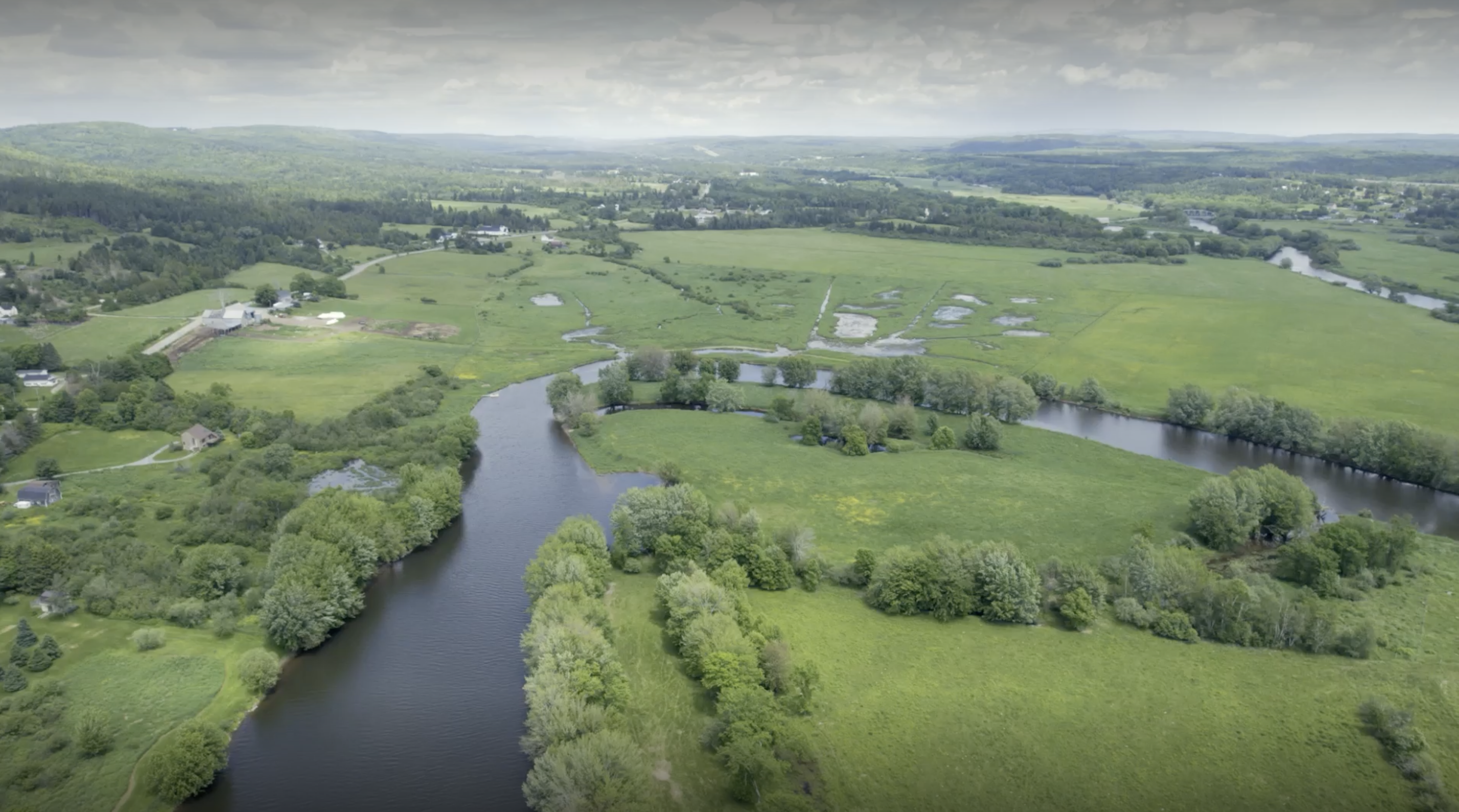 Aerial view of a River surrounded by green wetlands