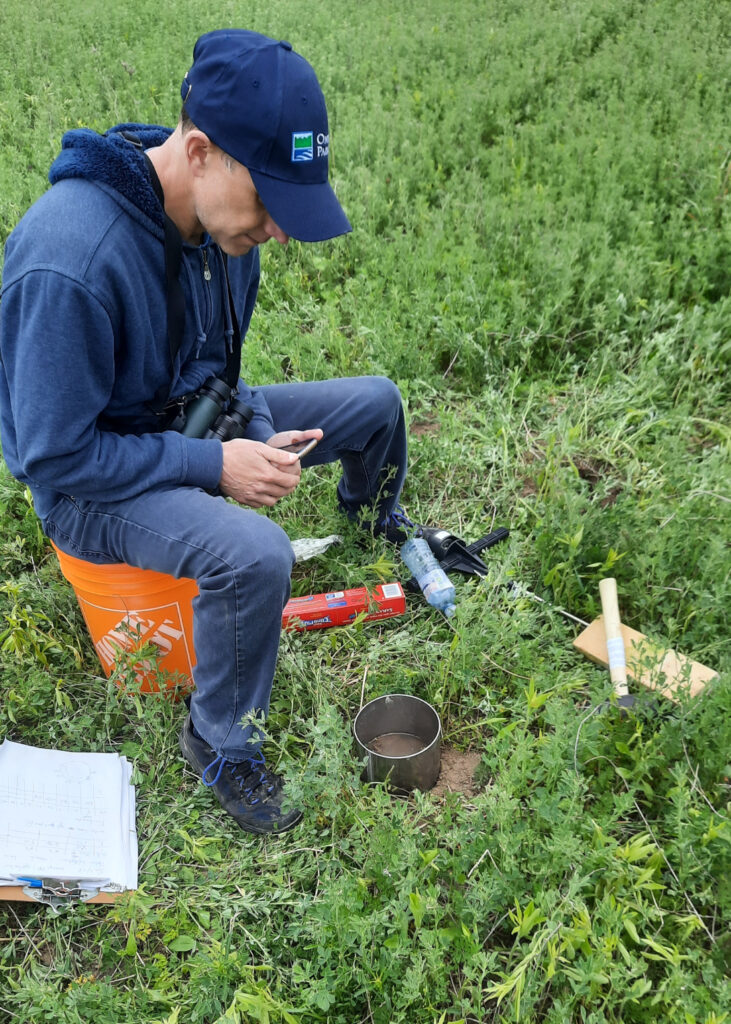 A person conducts a water infiltration test in a restored grassland.