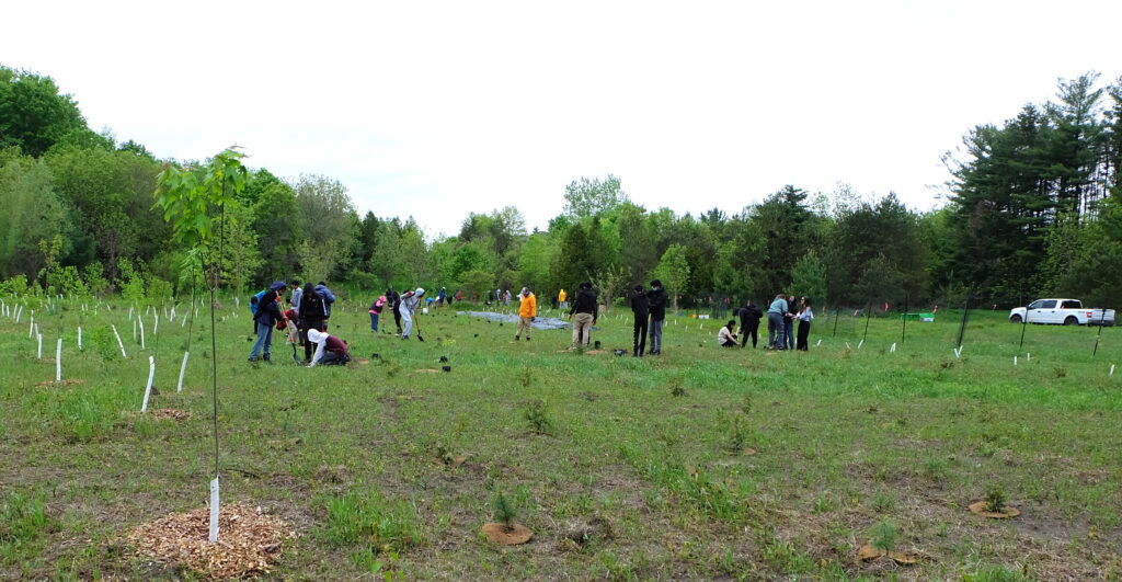 Youth planting native trees. 