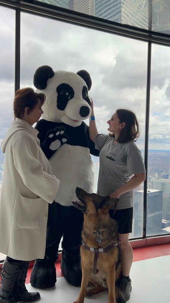 Nature came out on top at biggest CN Tower Climb yet - WWF.CA