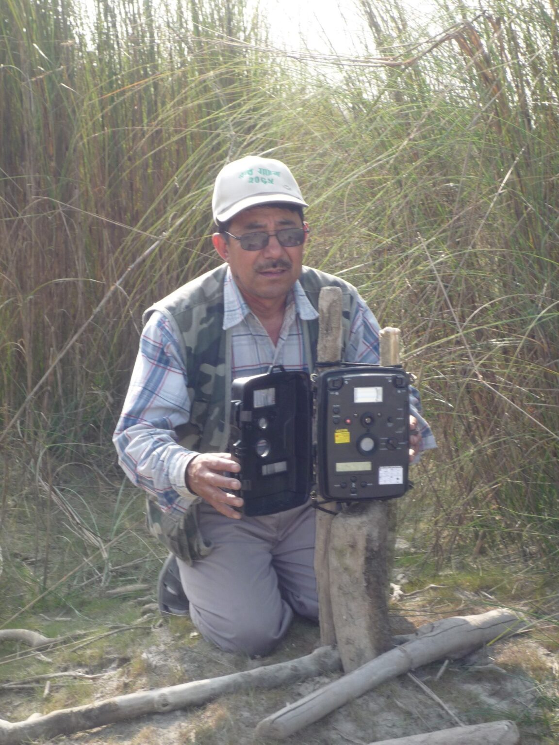 Five ways researchers count wild tigers to protect them - WWF.CA
