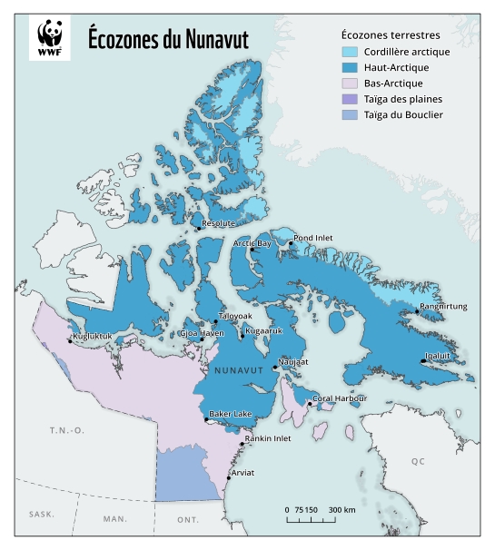 Carte montrant les cinq écozones terrestres du Nunavut