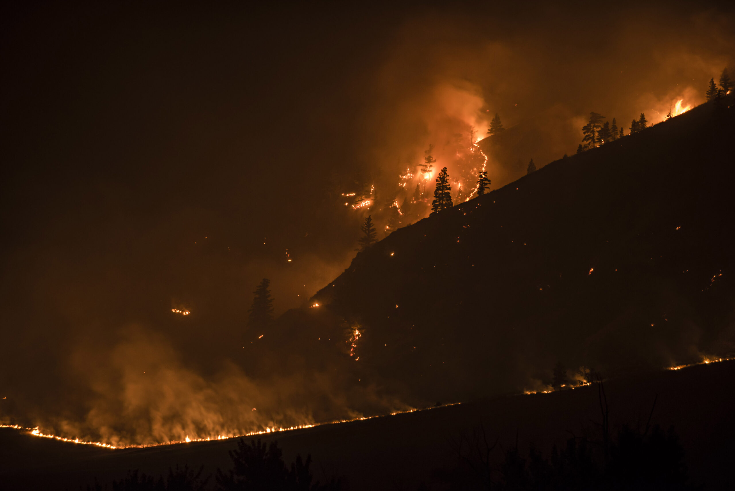 Flames from a wildfire burn on a forested hillside 