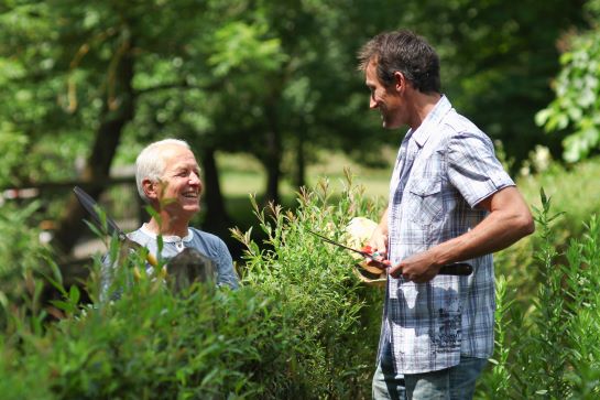 Two people standing on either side of a hedge smile while having a conversation.