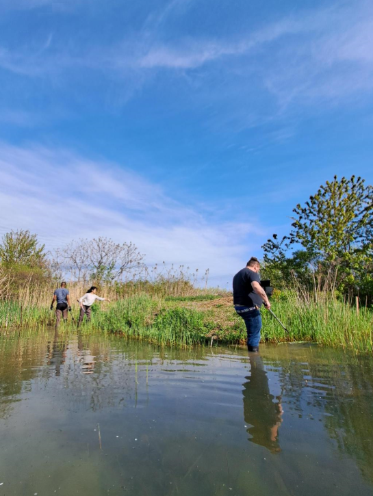 Three post-secondary students hold tools and wade in shallow water along a bank below a blue sky.