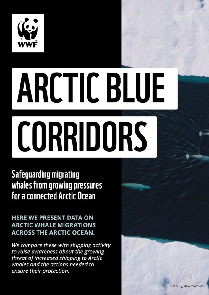 WWF Global Arctic Programme conservation wins 2024 - WWF.CA