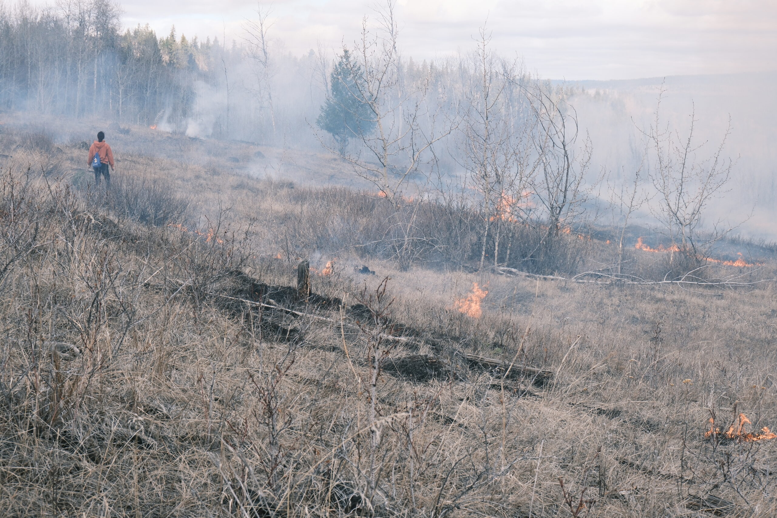 Low-intensity cultural burn in Yunesit'in territory