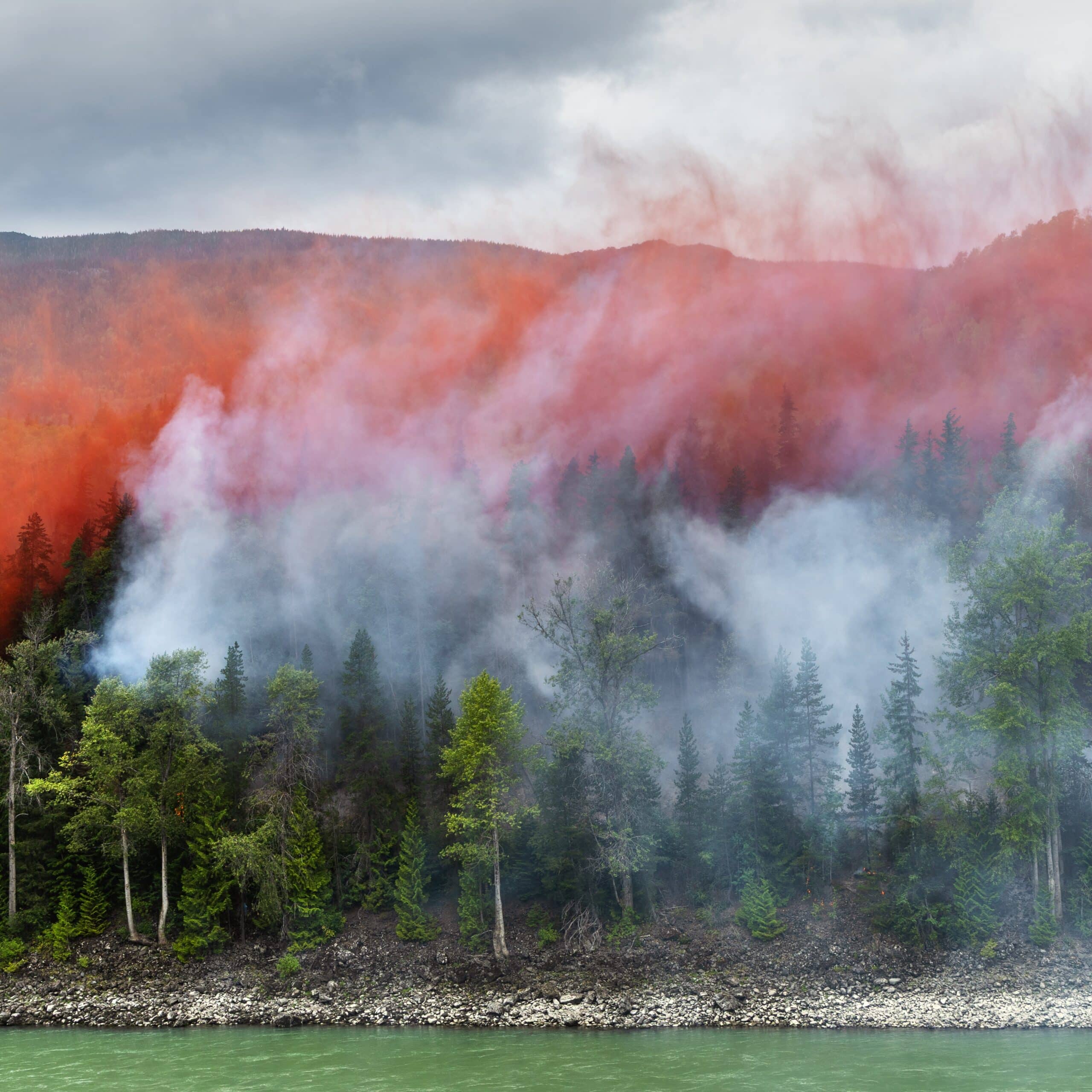 a wildfire with smoke amngst trees in the foreground and a red fire glow in the background