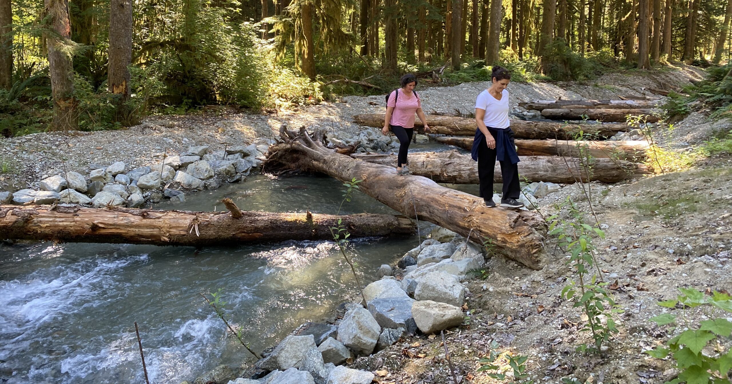 Two women walking on a log across a salmon spawning stream in a BC forest