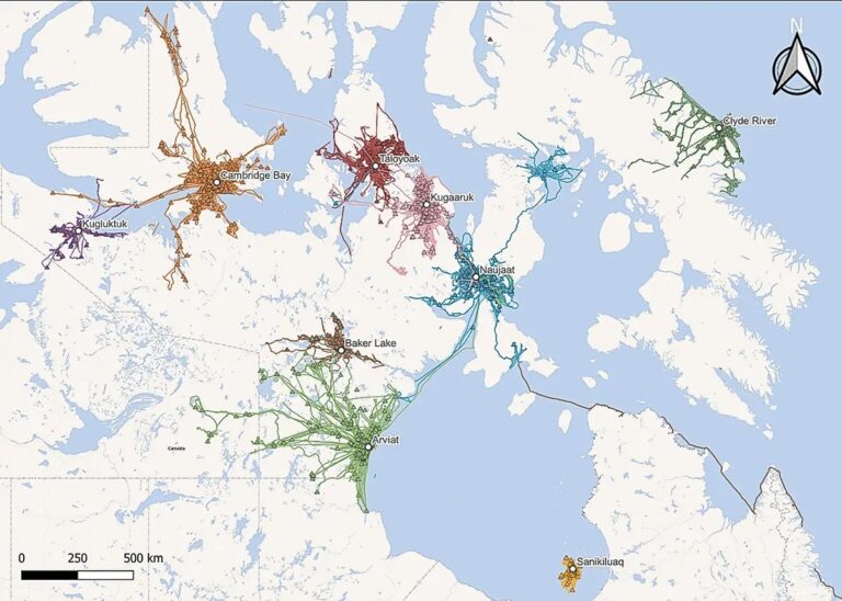 Gps Inuit The power of traditional knowledge and technology in Nunavut - WWF.CA