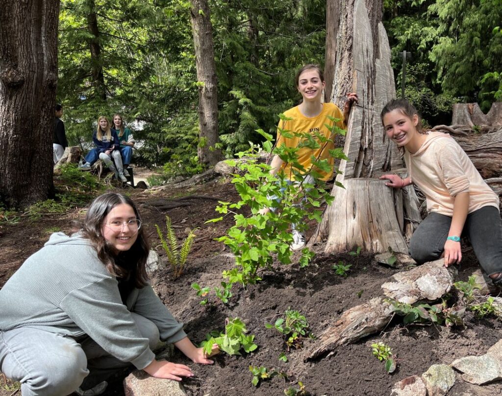 Three youth smiling and planting trees and plants in a forest with another three youth in the background.