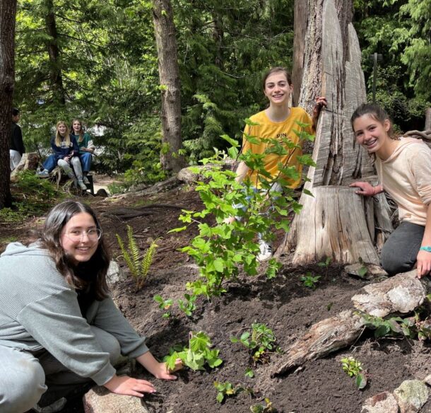 Three youth smiling and planting trees and plants in a forest with another three youth in the background.