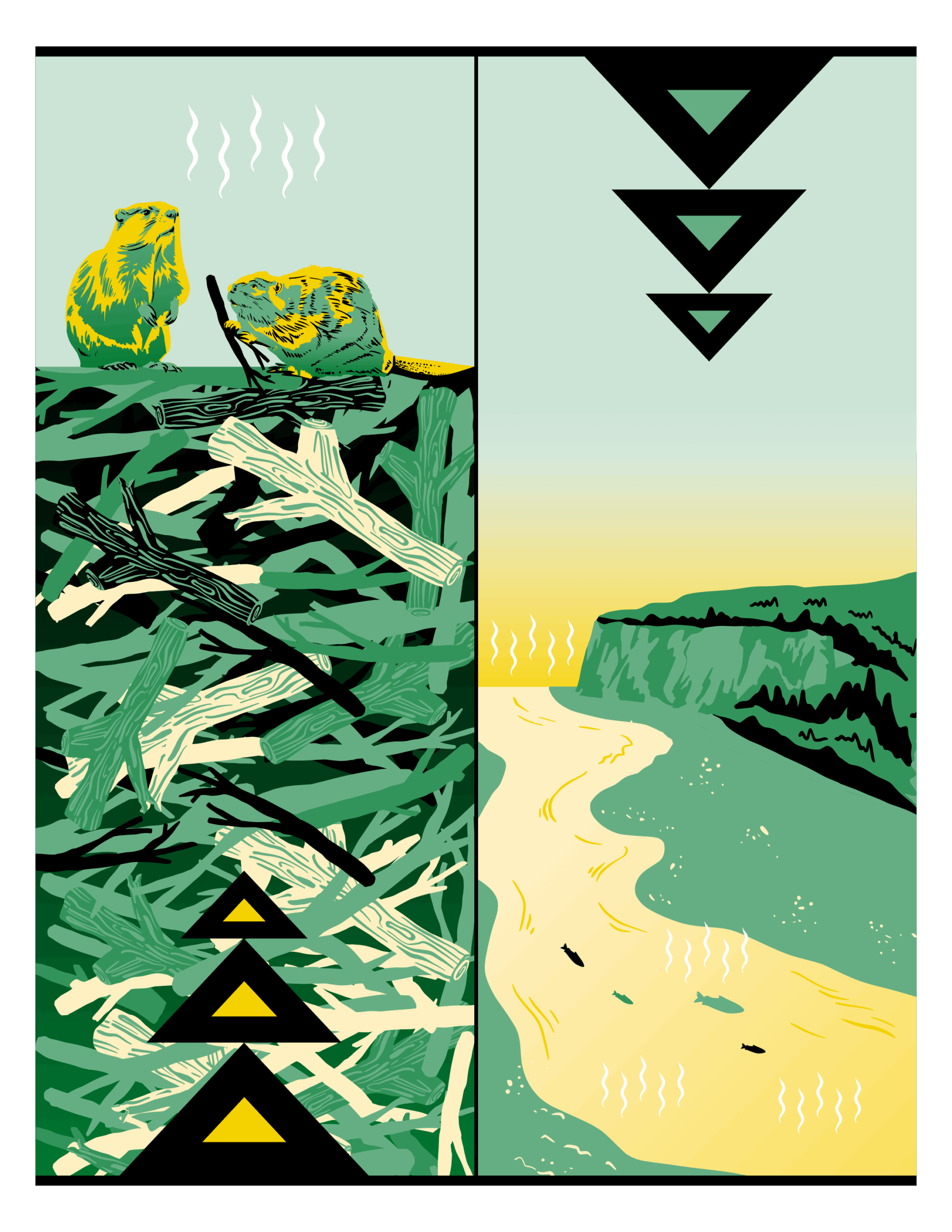 Illustration montrant des barrages de castors et des poissons. 