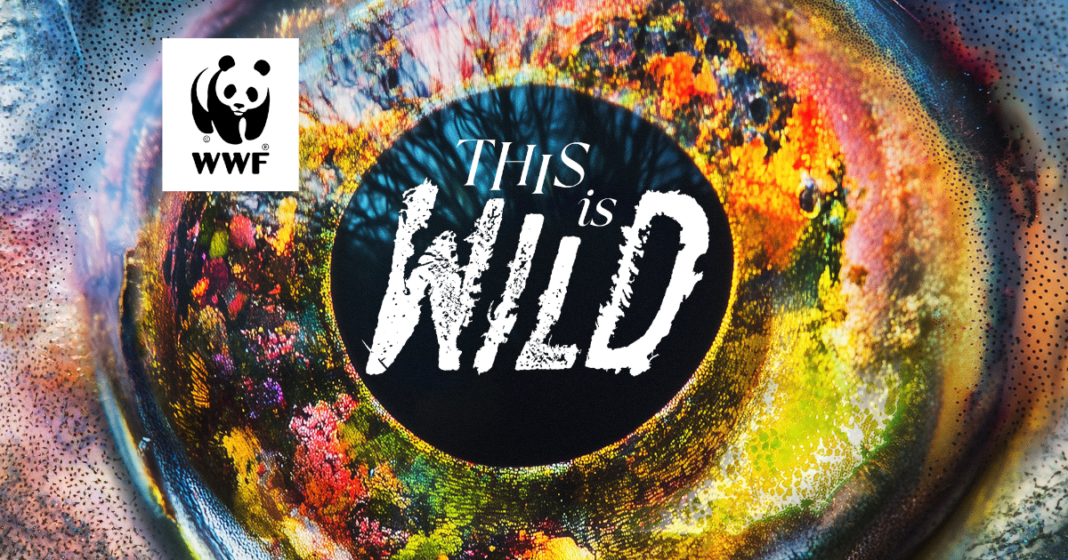 This is Wild promotional graphic with a close up, detailed photo of a fish eye.