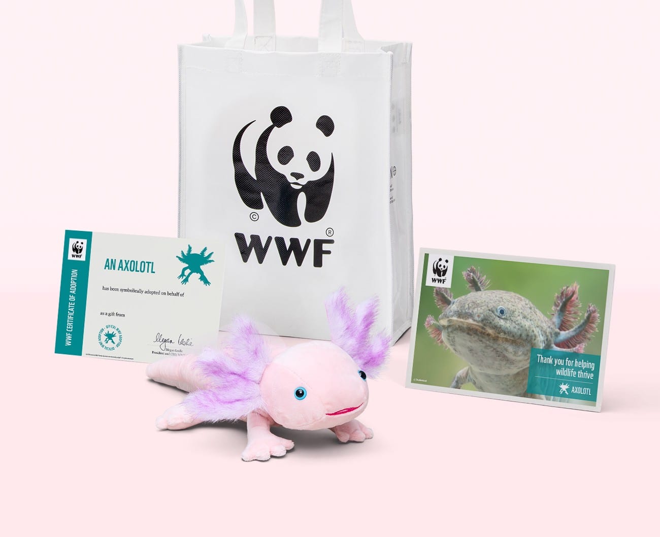 Axolotl adoption kit components, including pale pink axolotl plush, a poster, adoptions certificate and tote bag. 