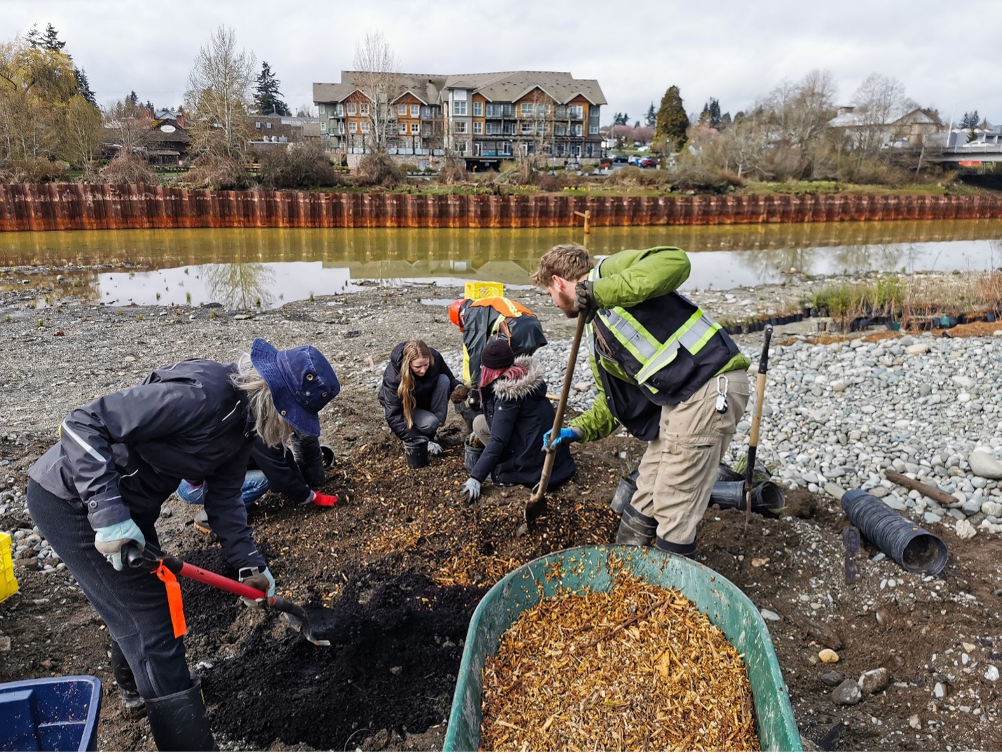 People plant and apply mulch to young native trees and shrubs at a former industrial site at the mouth of a river.