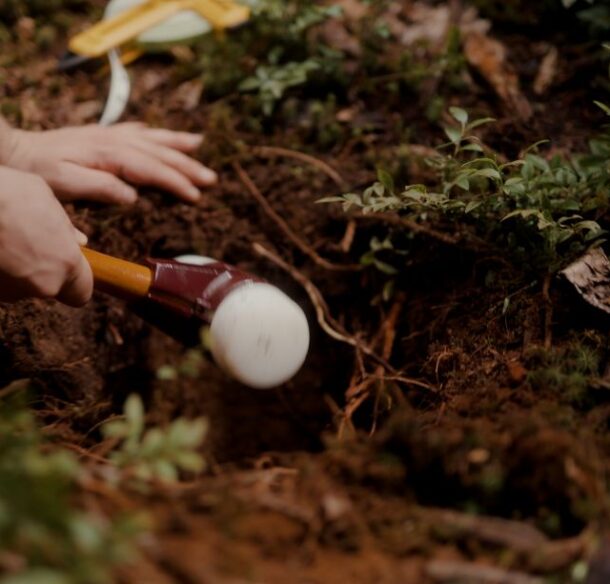 Close-up of a person's hands digging a hole for soil sampling.