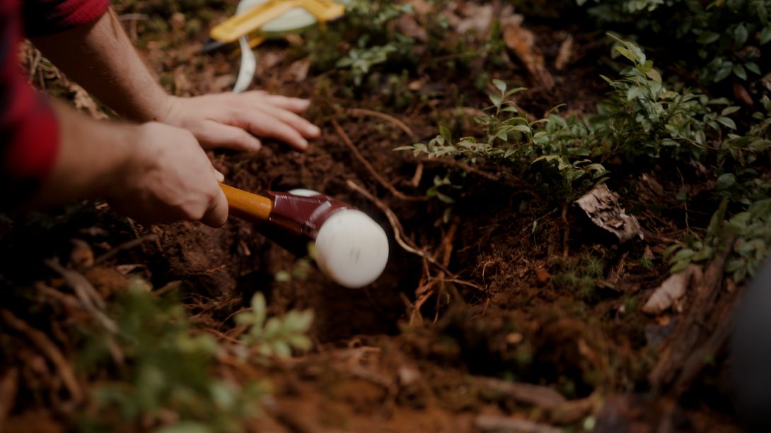 Close-up of a person's hands digging a hole for soil sampling.