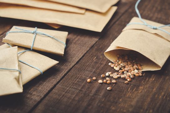 Small seeds spilling out of a tiny paper envelope sitting to the right of three other closed seed envelopes on a table.