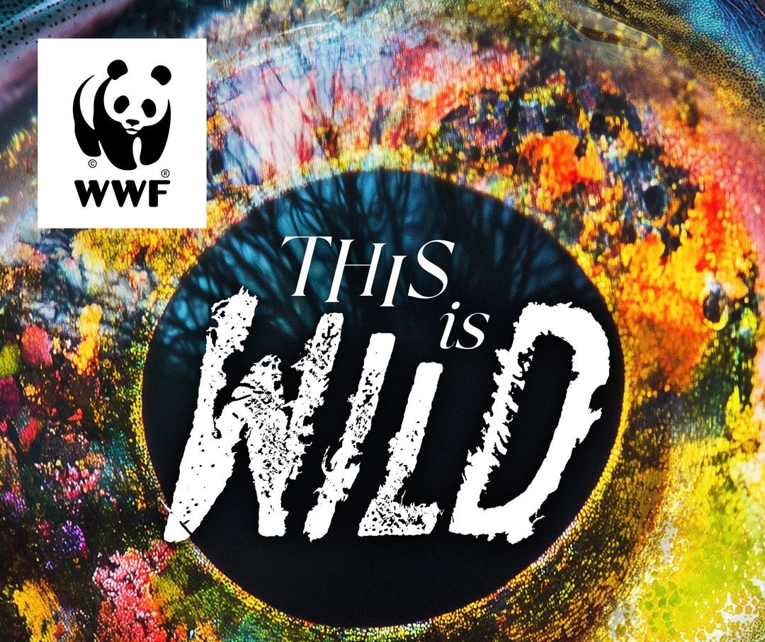 the words this is wild over a closeup image of a salmon's eye