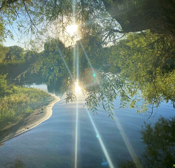 sun reflected though trees onto a pond in southern Ontario