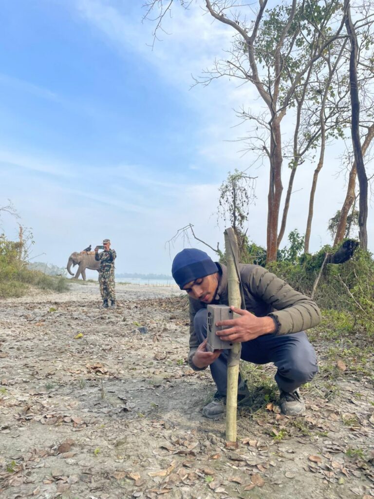 A man fixes a camera trap on a pole
