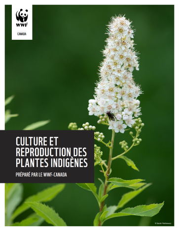 Couverture du rapport entitré "culture et reproduction des plantes indigènes"