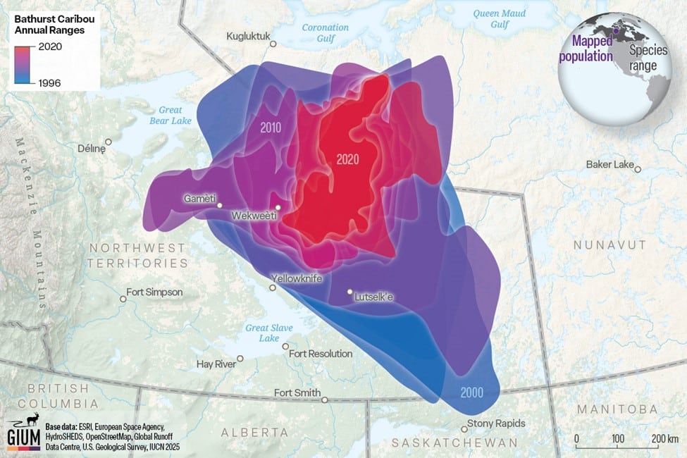 A map of caribou distribution