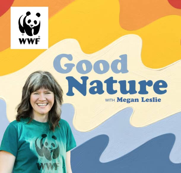 Good Nature with Megan Leslie artwork, features a photo of Megan wearing a green WWF panda branded T-shirt with a colourful background.