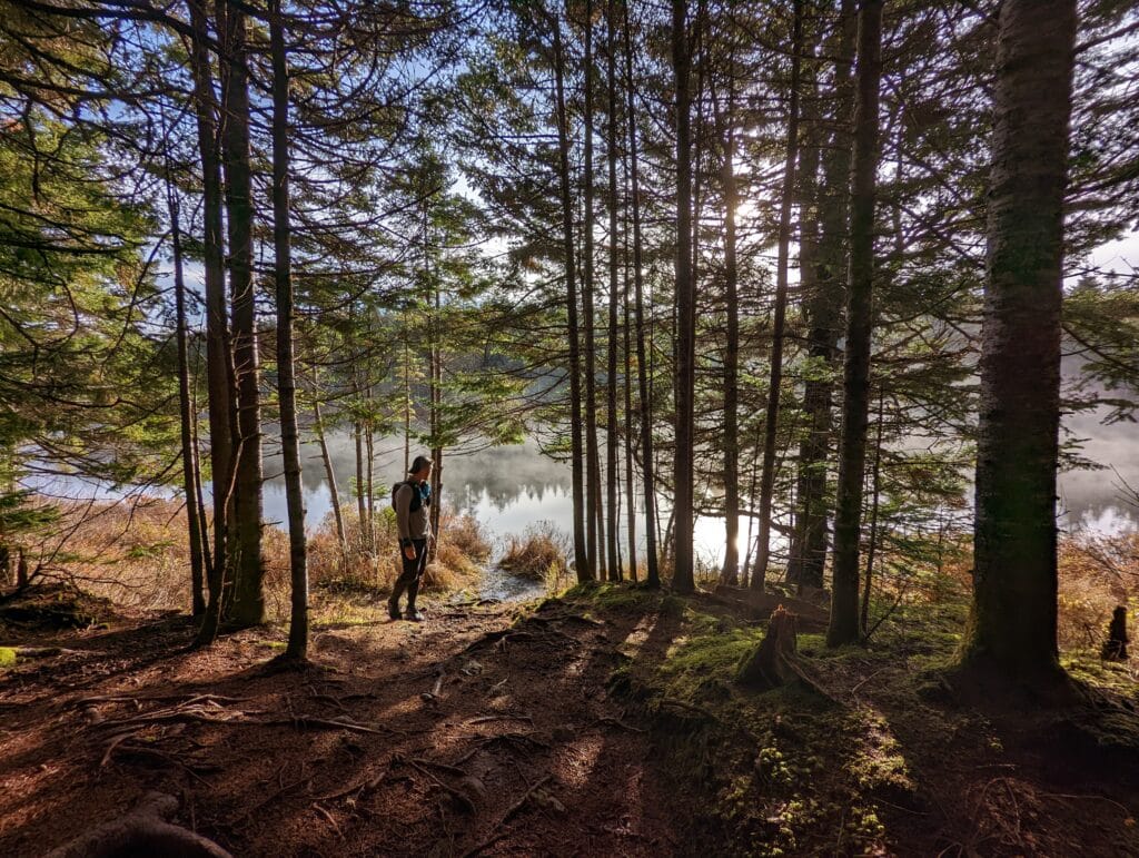 A person in the woods