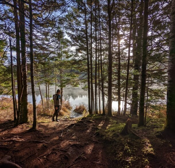 A person in the woods