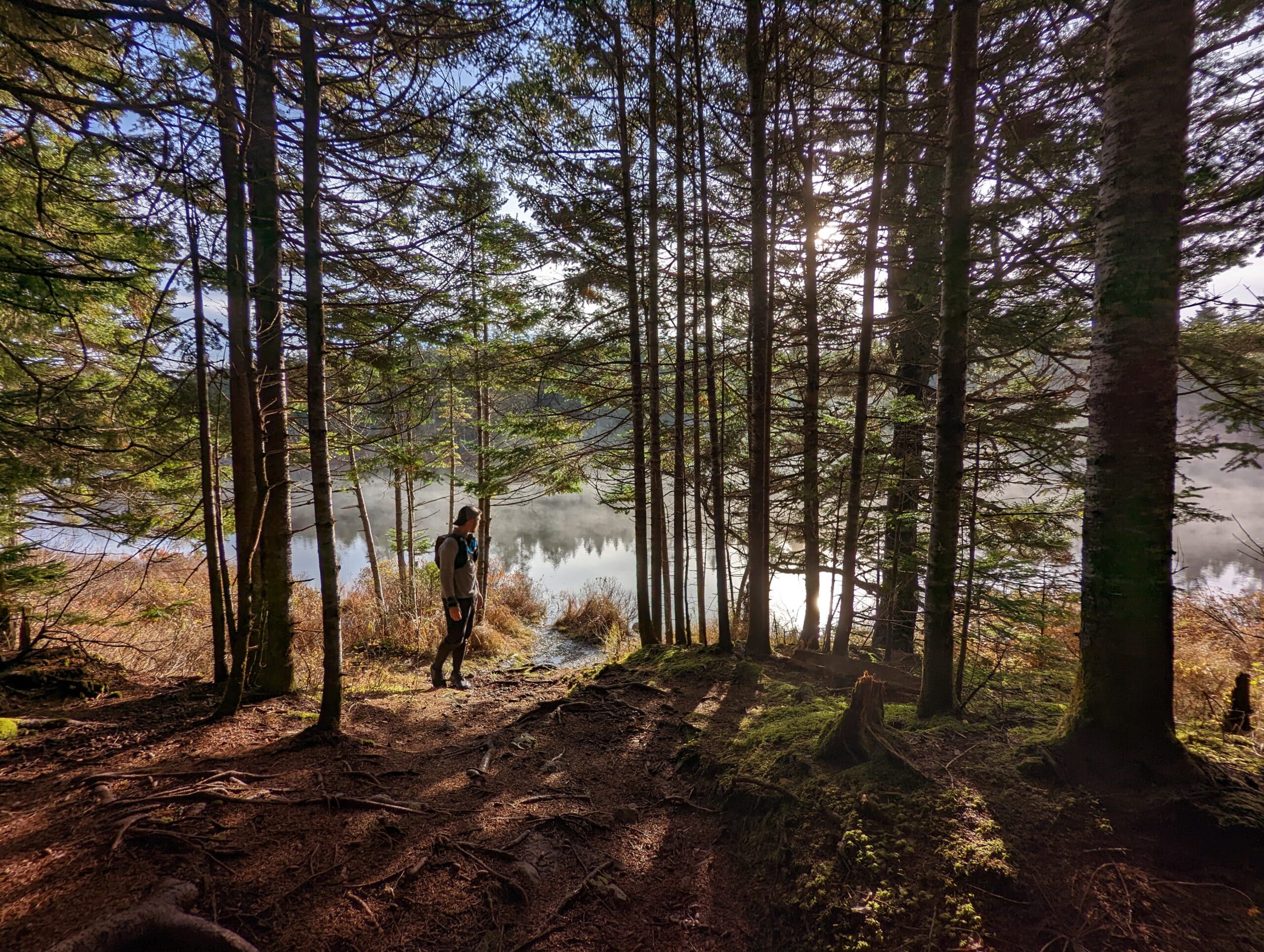 A person in the woods