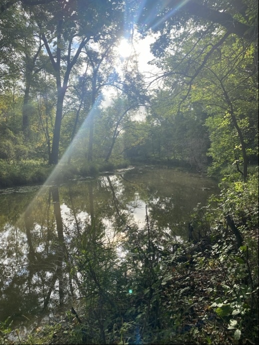 a river with light shining through the trees