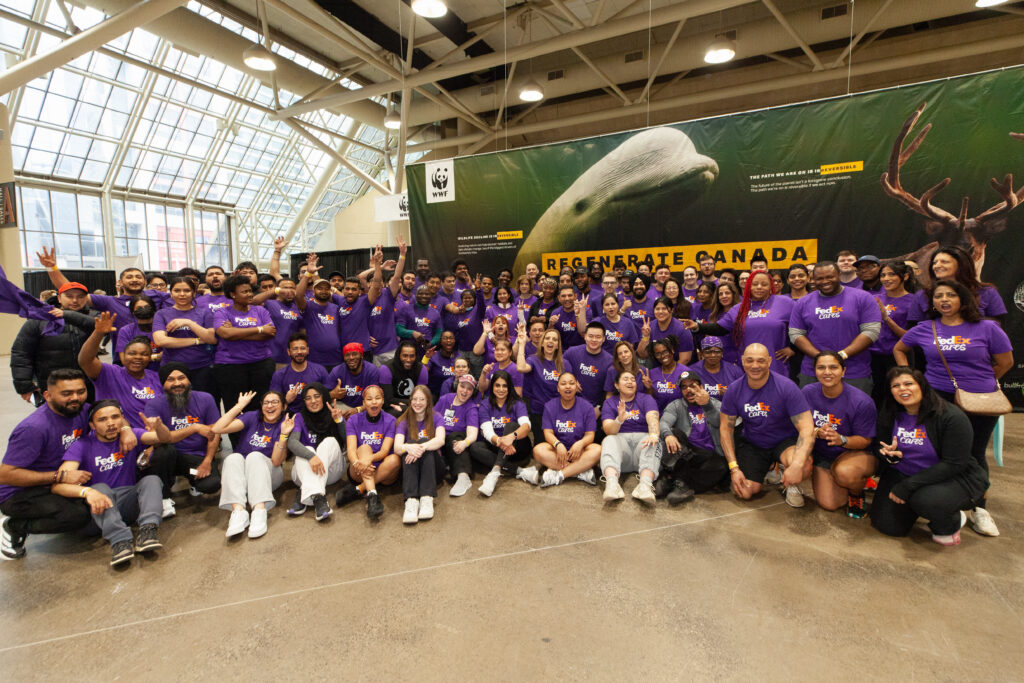 a large group of people