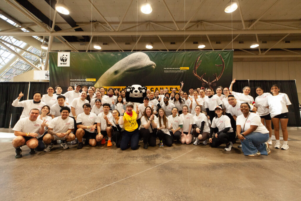 a large group of people