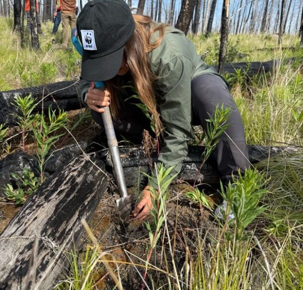 a woman planting