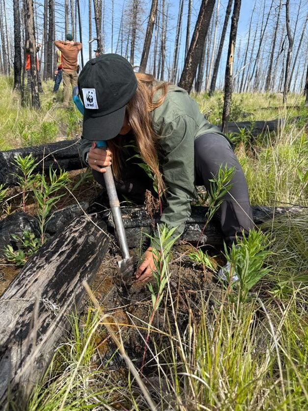 a woman planting