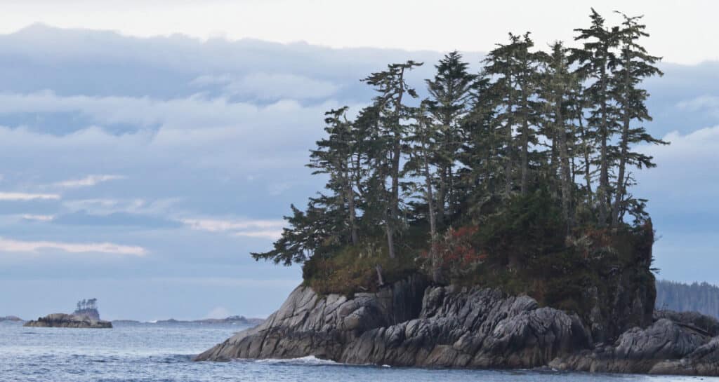 Rocky island with trees and water
