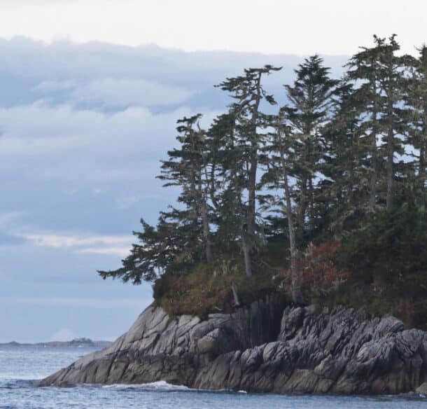 Rocky island with trees and water